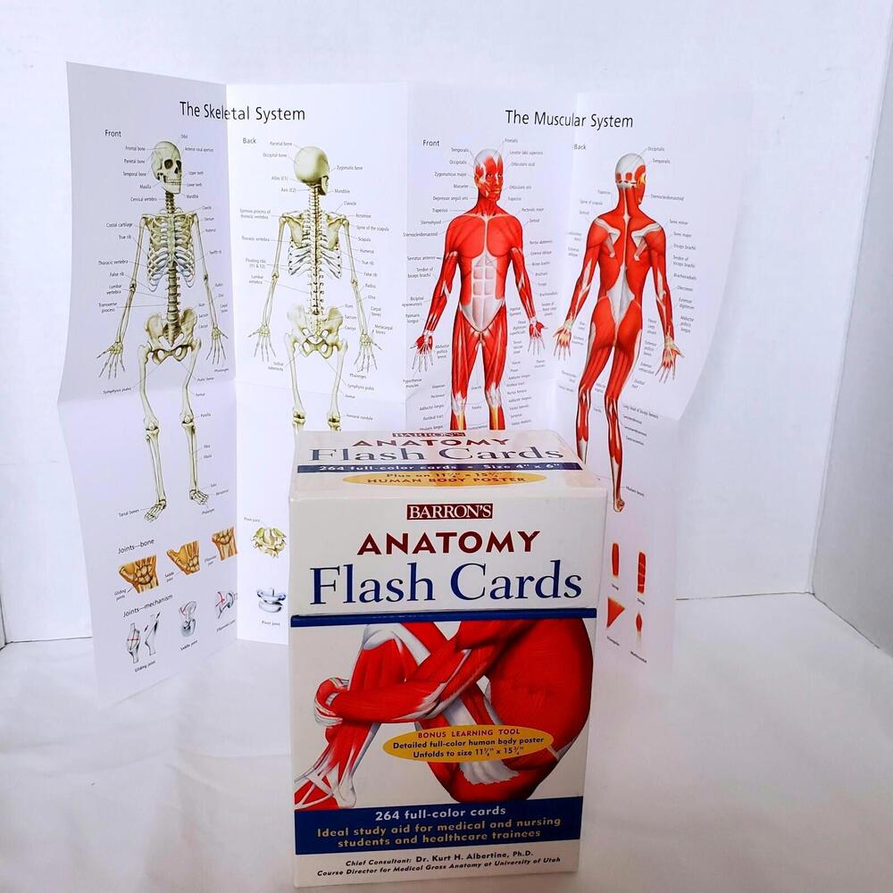 Barron's Anatomy Flash Cards and Poster Boxed Set by Dr Kurt Albertine, Ph.D B